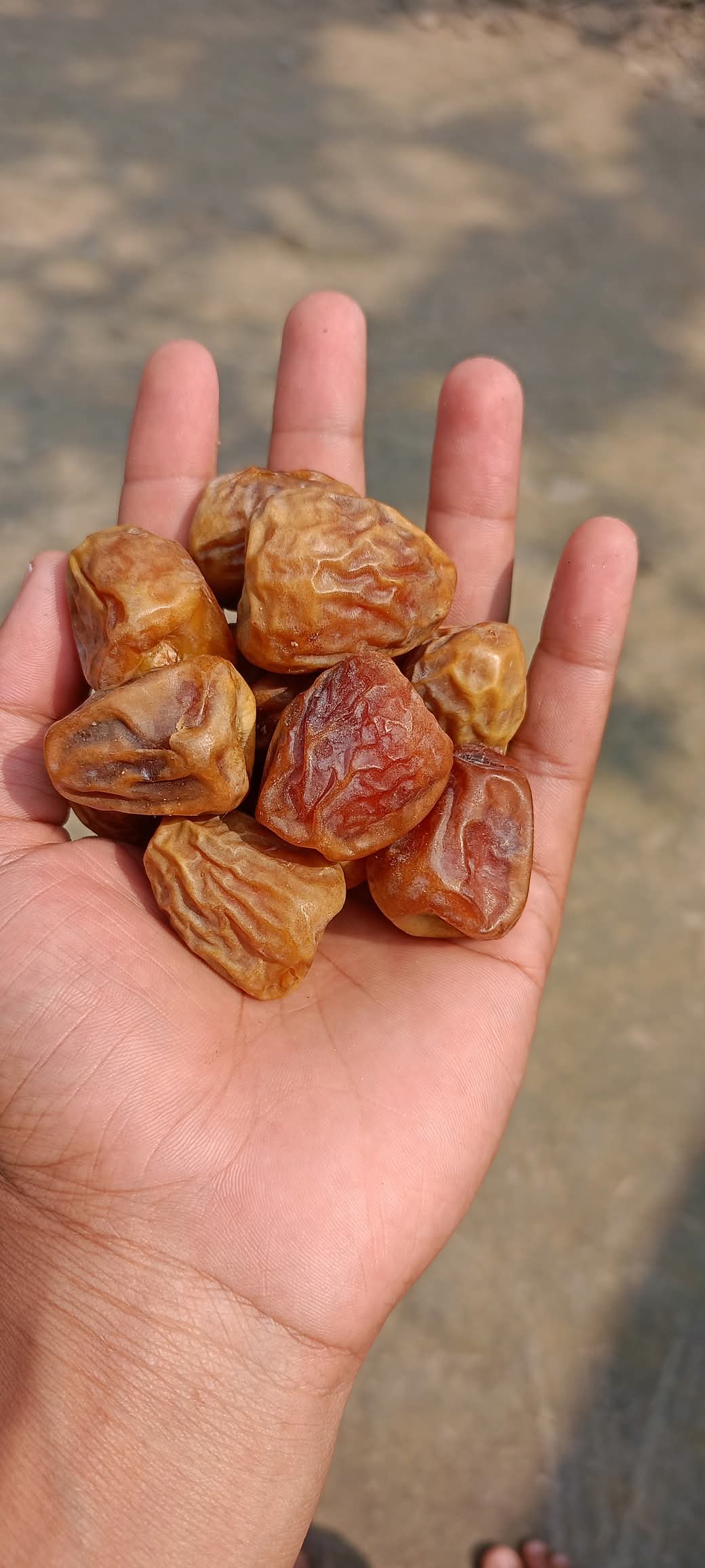 Sukkari Mufattal Malaki Dates 1kg